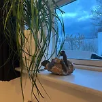 בית הארחה Blomsterhaven Glesborg