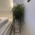 Blomsterhaven בית הארחה