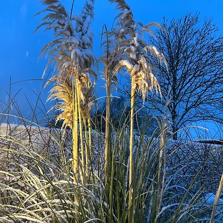 Blomsterhaven Affittacamere