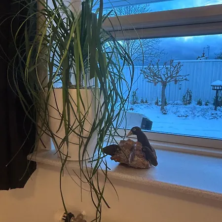 Blomsterhaven Gasthuis