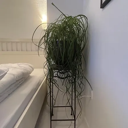 Blomsterhaven Gasthuis