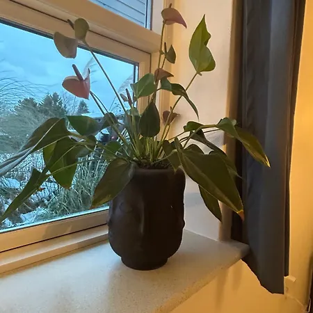 Blomsterhaven * Glesborg