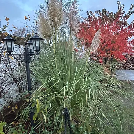 Blomsterhaven