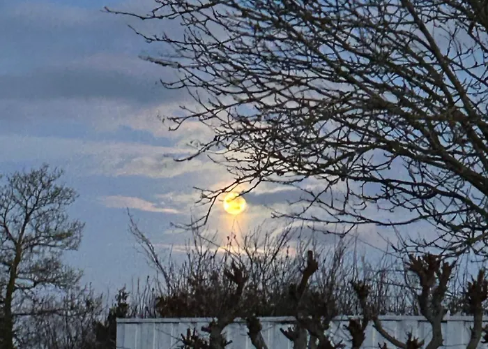 Blomsterhaven * Glesborg