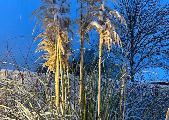 Blomsterhaven 게스트하우스