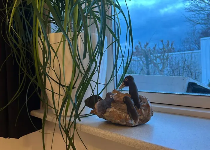 게스트하우스 Blomsterhaven Glesborg