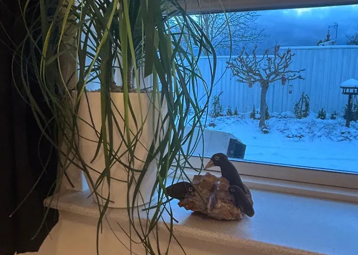 Blomsterhaven 게스트하우스