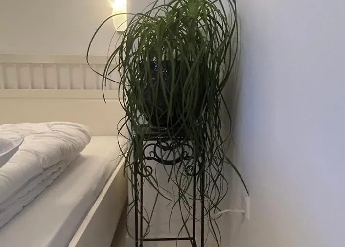 Blomsterhaven 게스트하우스