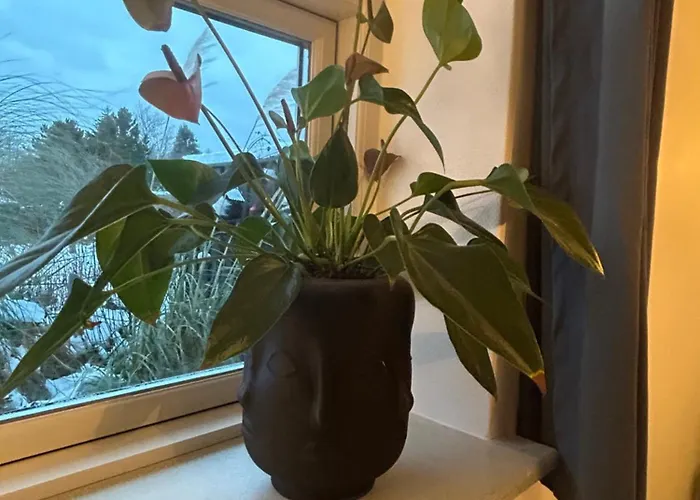 Blomsterhaven * Glesborg