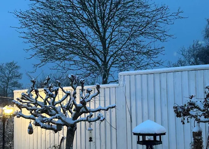 게스트하우스 Blomsterhaven