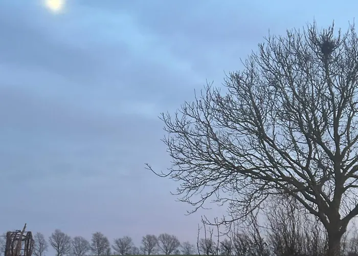 게스트하우스 Blomsterhaven Glesborg